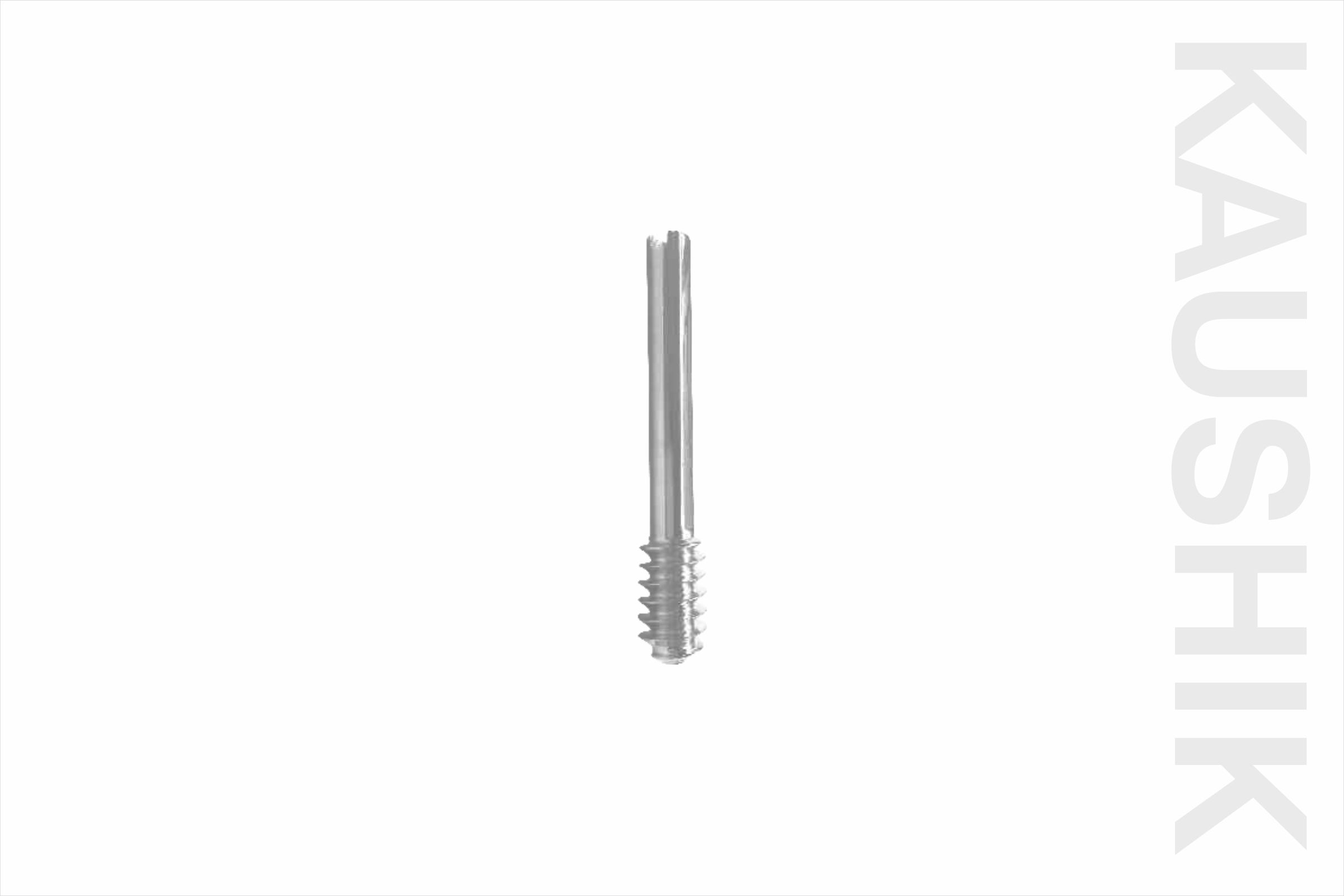 boneHeal DHS/DCS Leg Screw 12.5mm